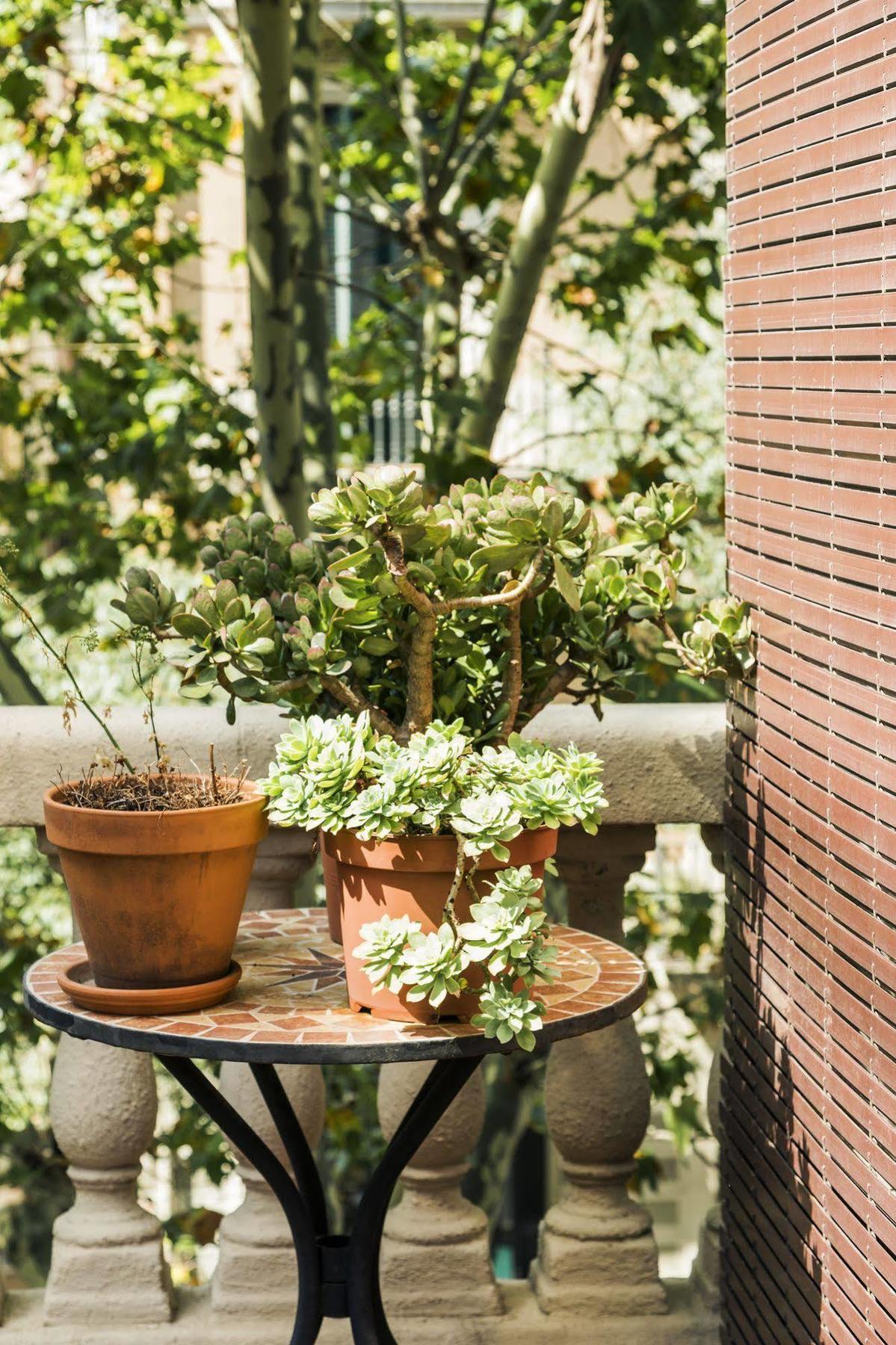 Alojamento de Acomodação e Pequeno-almoço La Casa Gran 3*